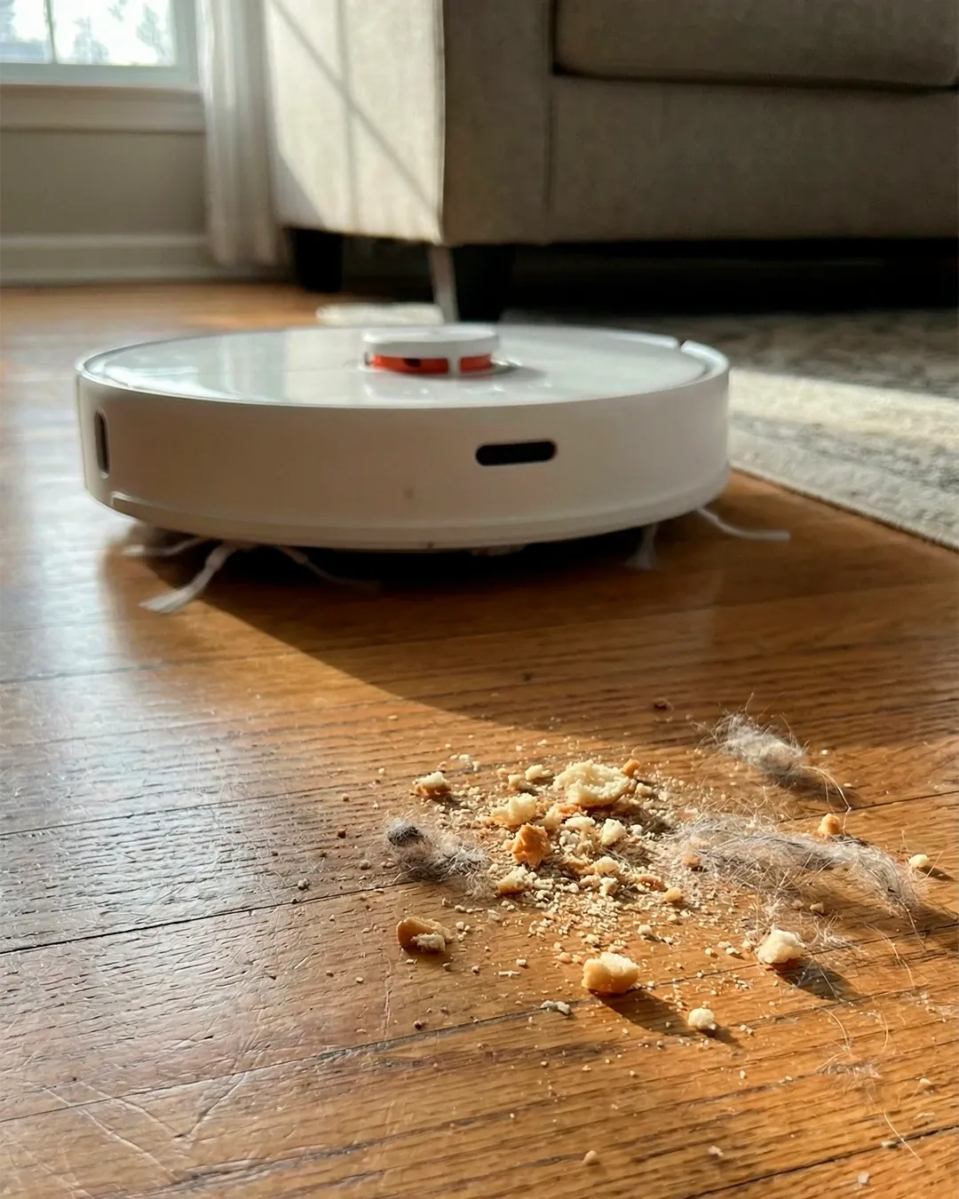RoboSpark a nappaliban — vásárlói fotó